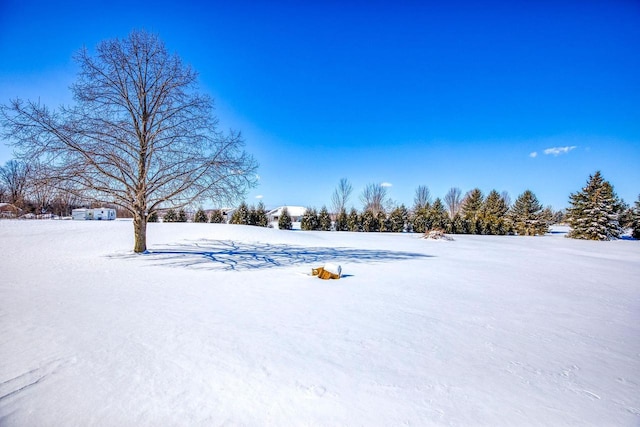 view of snowy yard