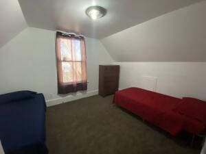 carpeted bedroom featuring lofted ceiling