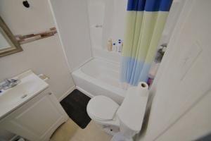 full bathroom featuring shower / bath combo with shower curtain, vanity, and toilet