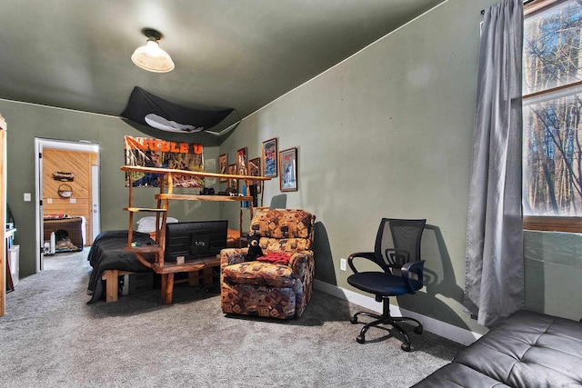 living room featuring carpet flooring