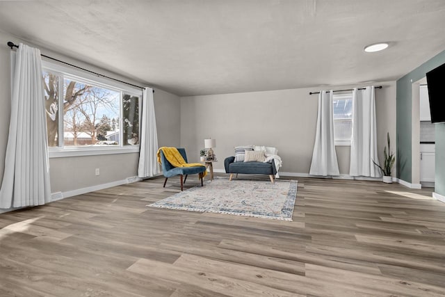 sitting room featuring light wood-type flooring