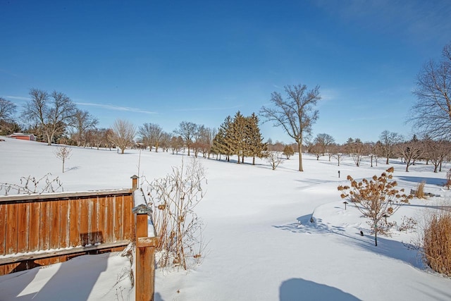 view of yard covered in snow