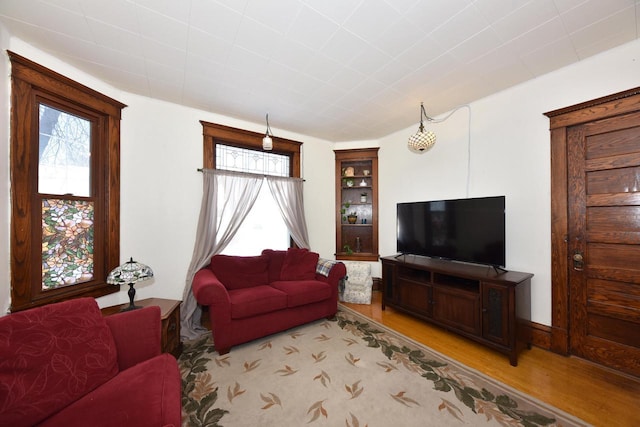 living room featuring light hardwood / wood-style floors