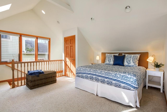 W5553 Oak Park Rd, Elkhorn, WI 53121 - bedroom with carpet floors, a skylight, and high vaulted ceiling