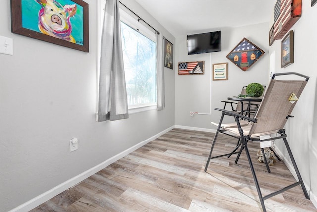 sitting room with light wood-type flooring