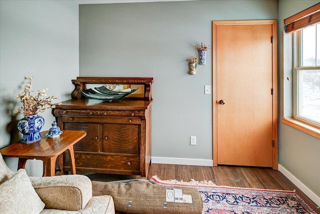 living area featuring dark hardwood / wood-style flooring