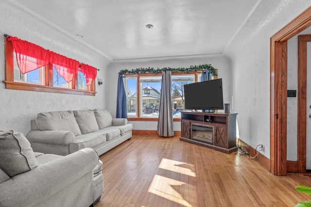 living room featuring wood-type flooring