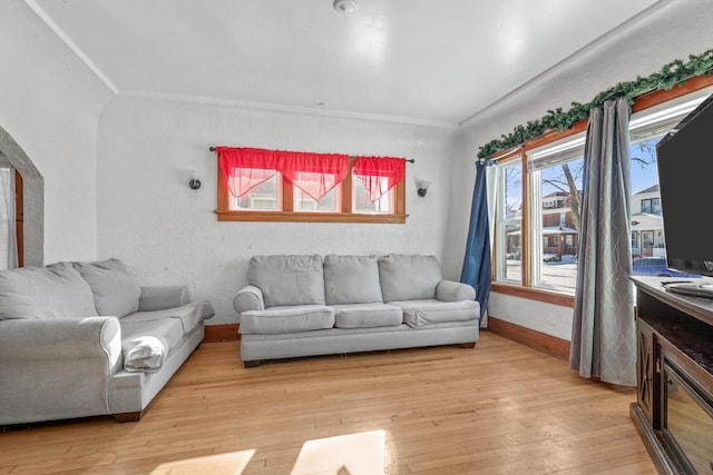 living room featuring light wood-type flooring