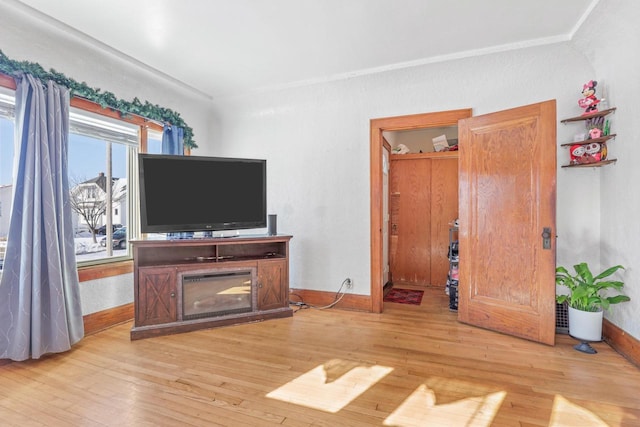 living room featuring crown molding and light hardwood / wood-style flooring