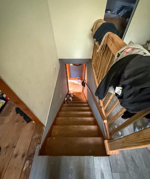 stairway featuring wood-type flooring