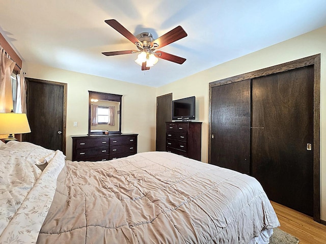 bedroom featuring light wood-type flooring, ceiling fan, and multiple closets