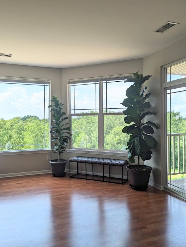 spare room featuring dark hardwood / wood-style floors and a healthy amount of sunlight