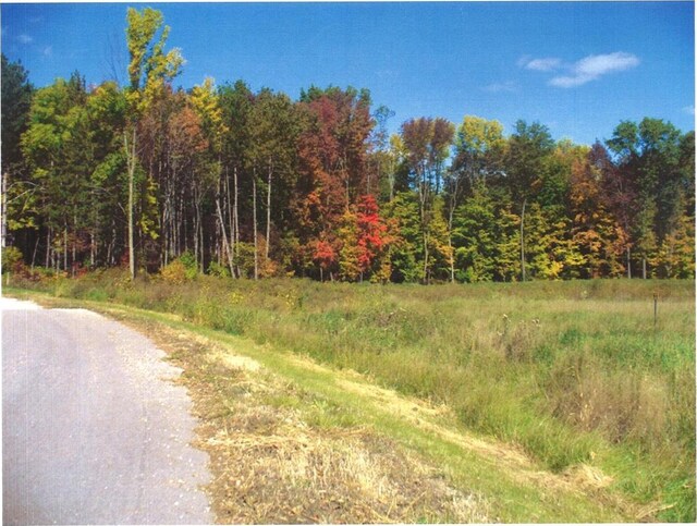 LT10 Cross Country Ter Unit 28, Hortonville WI, 54944 land for sale