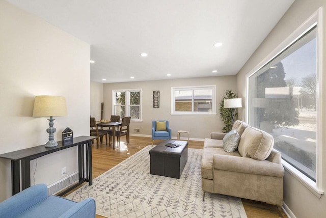 living room featuring hardwood / wood-style flooring