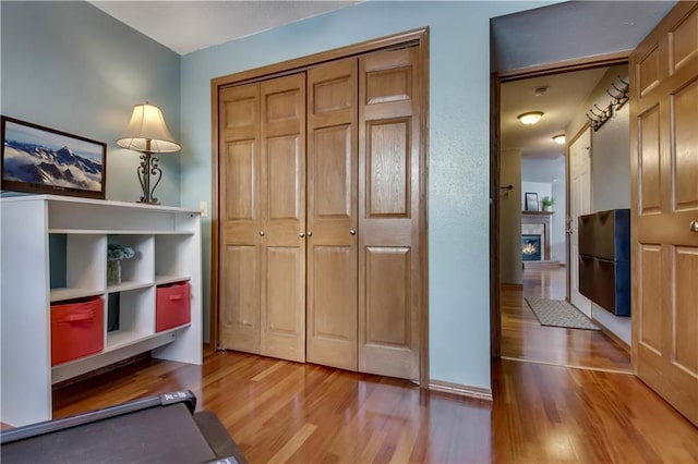 interior space with a closet and light hardwood / wood-style floors