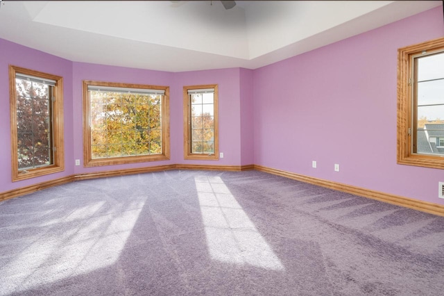 unfurnished room with baseboards and carpet flooring