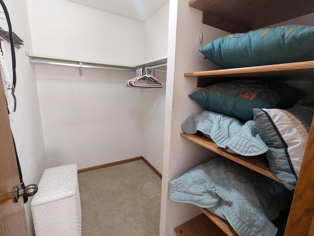 walk in closet with carpet floors