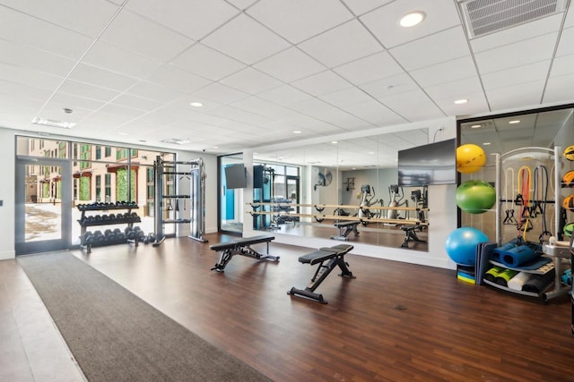 gym with a paneled ceiling, hardwood / wood-style floors, and floor to ceiling windows