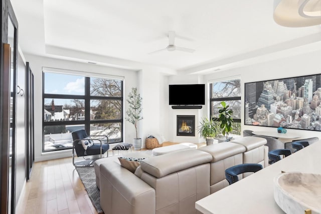 living room featuring ceiling fan and light wood-type flooring