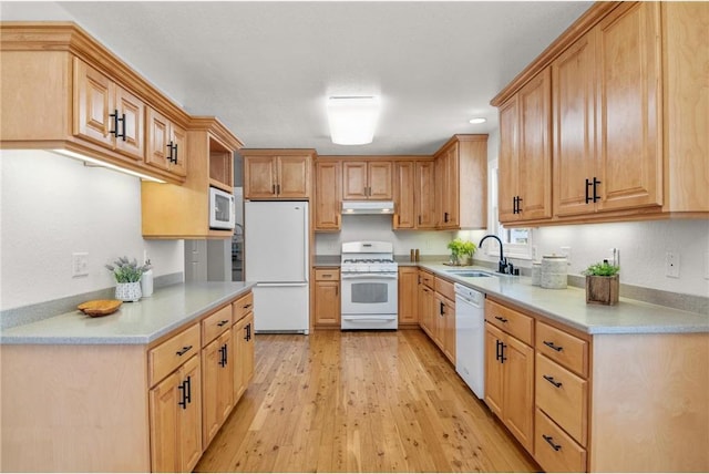 kitchen featuring white appliances, light countertops, light wood-type flooring, under cabinet range hood, and a sink