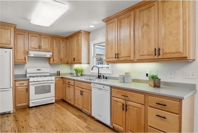 kitchen with white appliances, light wood-style flooring, light countertops, under cabinet range hood, and a sink