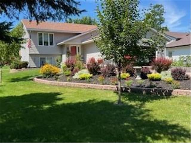 view of front of house with a front yard