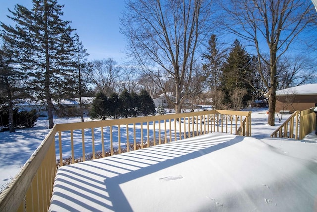 view of yard covered in snow