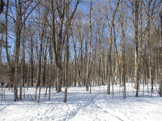 LOT87 Maple Way, Birchwood WI, 54817 land for sale