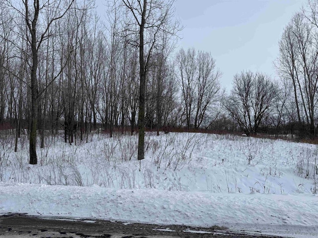 Marys Ave, Fond Du Lac WI, 54937 land for sale