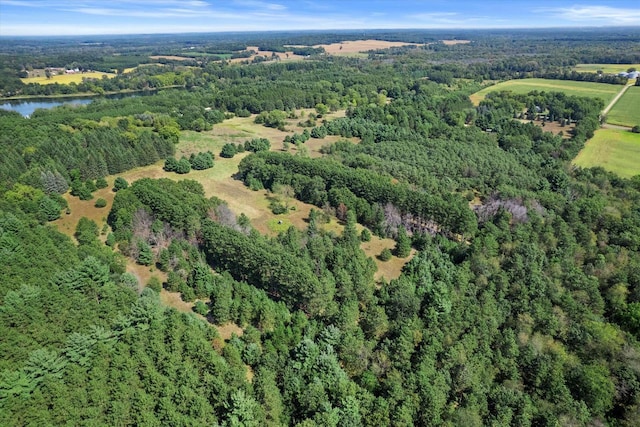 bird's eye view with a water view and a wooded view