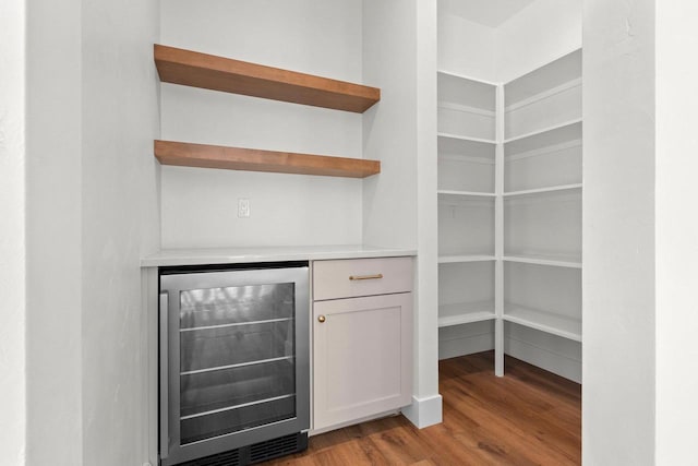 pantry with wine cooler