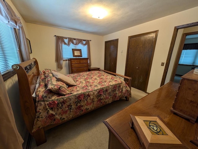 carpeted bedroom with multiple windows and multiple closets