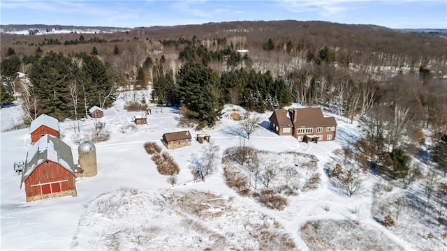 view of snowy aerial view