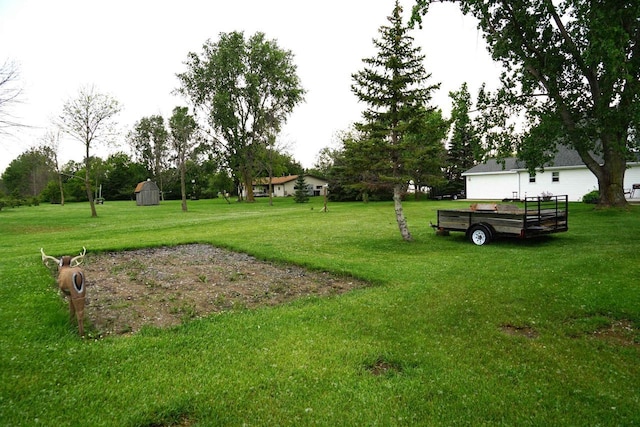 view of yard with a shed and an outdoor structure