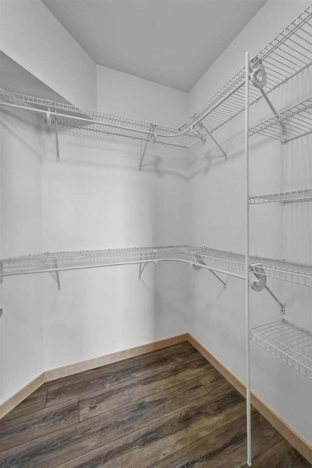 spacious closet with dark wood finished floors