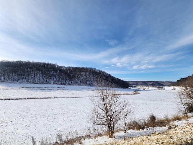 Listing photo 3 for 55.55AC Ridge Rd, Muscoda WI 53573