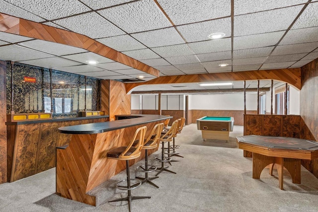 bar with a wainscoted wall, a dry bar, light colored carpet, and wooden walls