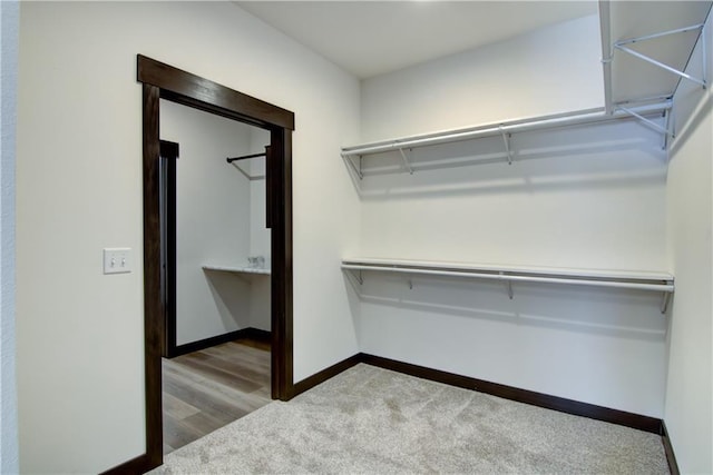 walk in closet featuring carpet