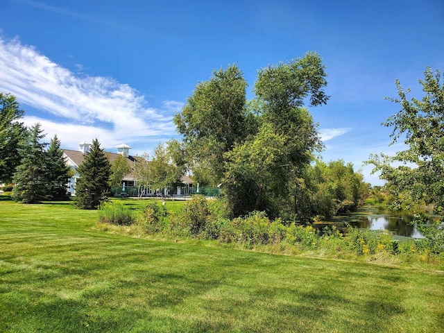 view of yard with a water view