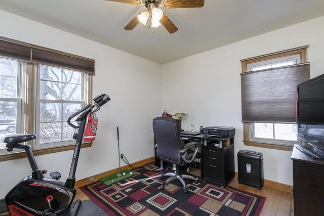 office space featuring baseboards, a ceiling fan, and wood-type flooring