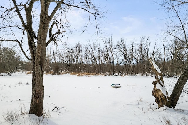 view of yard layered in snow