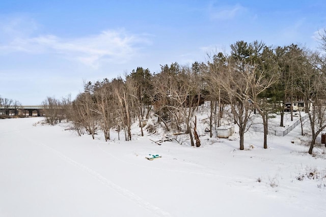 view of yard covered in snow