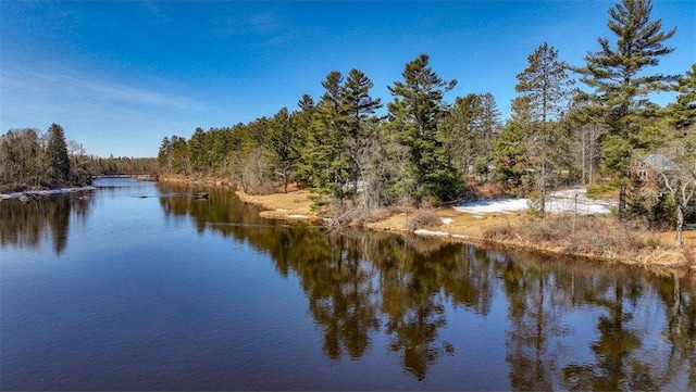 water view featuring a forest view