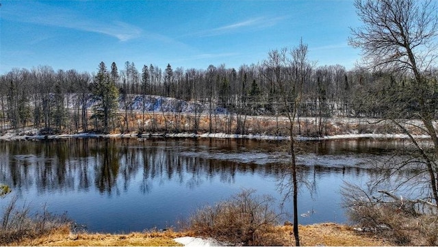 view of water feature with a forest view