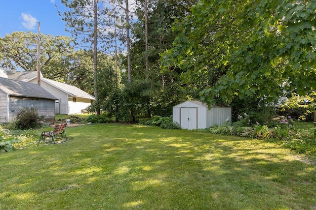 view of yard featuring an outbuilding and a storage unit