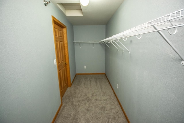 walk in closet featuring carpet floors