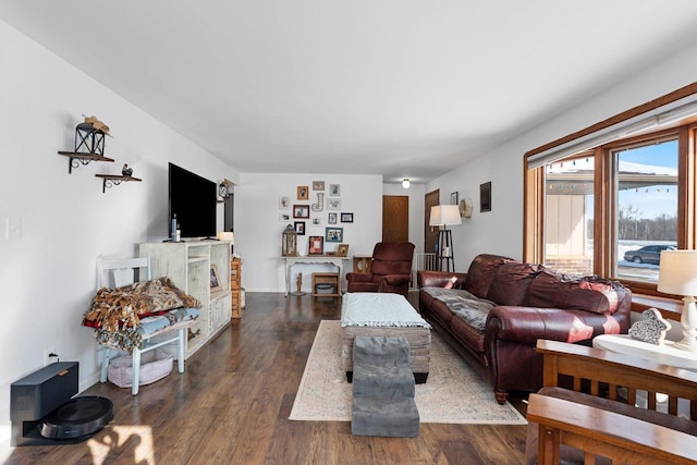 living area with dark wood finished floors