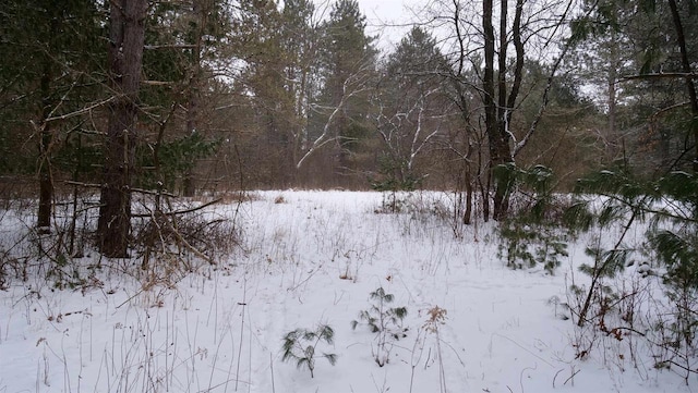 view of snowy yard