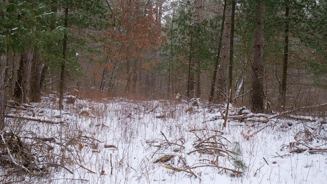 snowy landscape with a view of trees