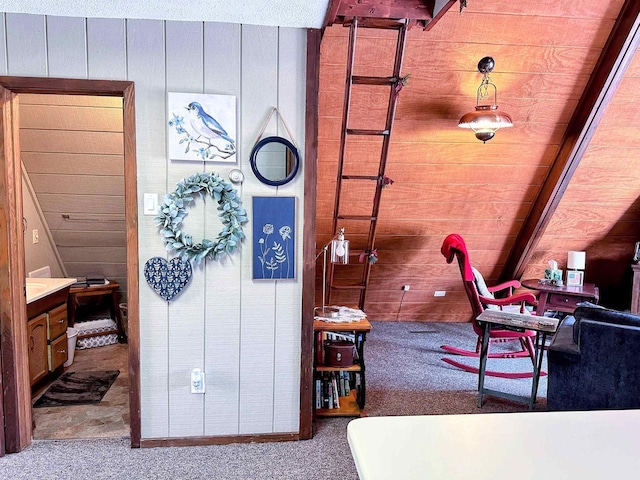 interior space featuring wood walls and vanity